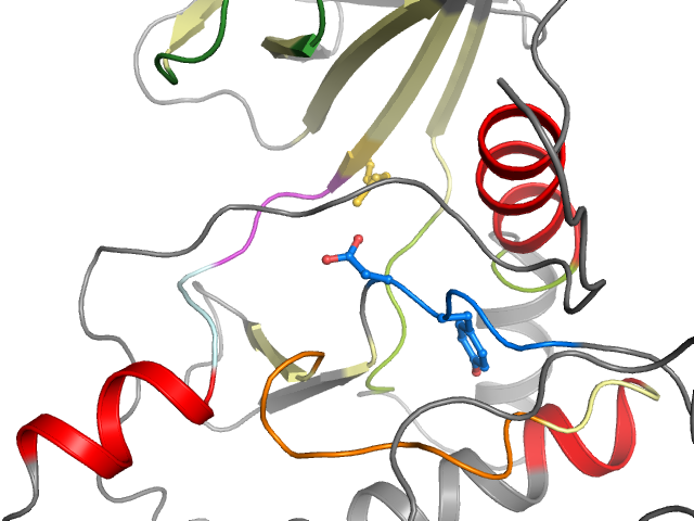 The orthosteric binding pocket