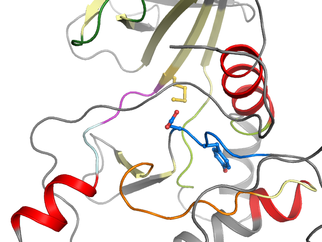 The orthosteric binding pocket