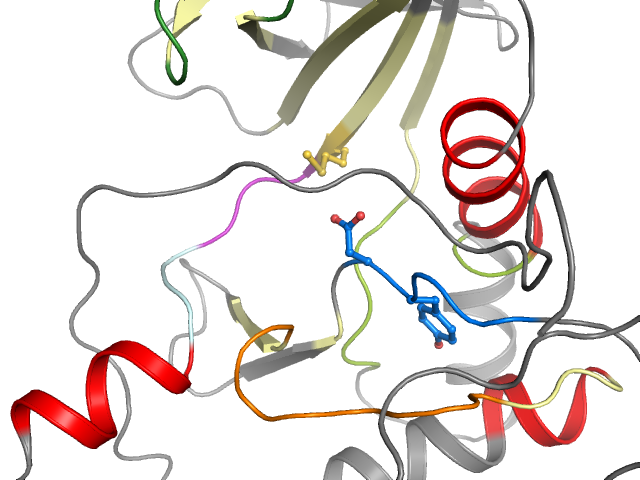 The orthosteric binding pocket