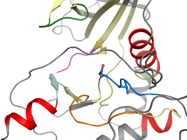 The orthosteric binding pocket