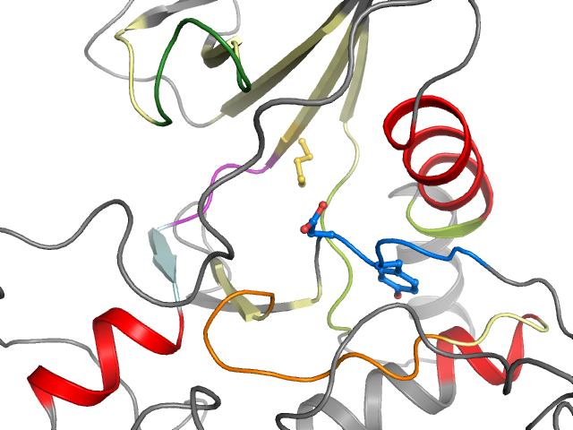 The orthosteric binding pocket