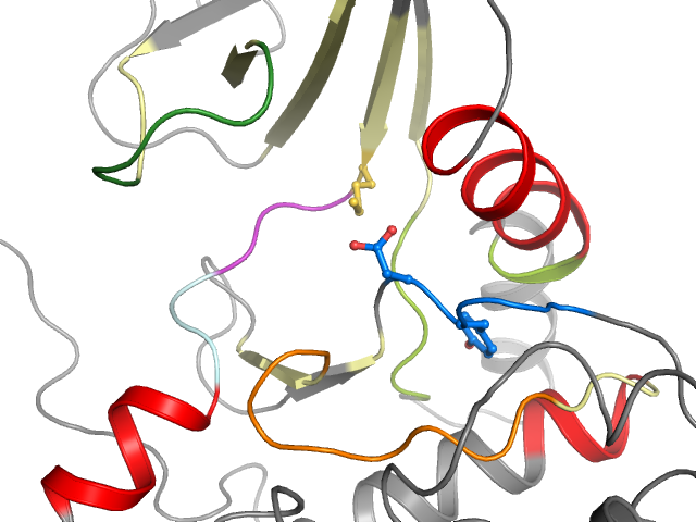 The orthosteric binding pocket