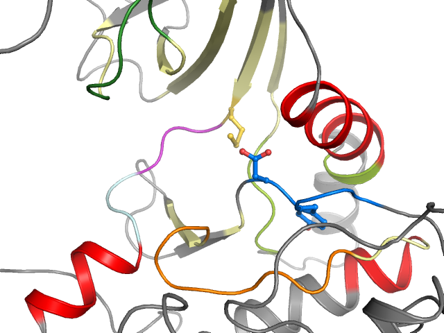 The orthosteric binding pocket