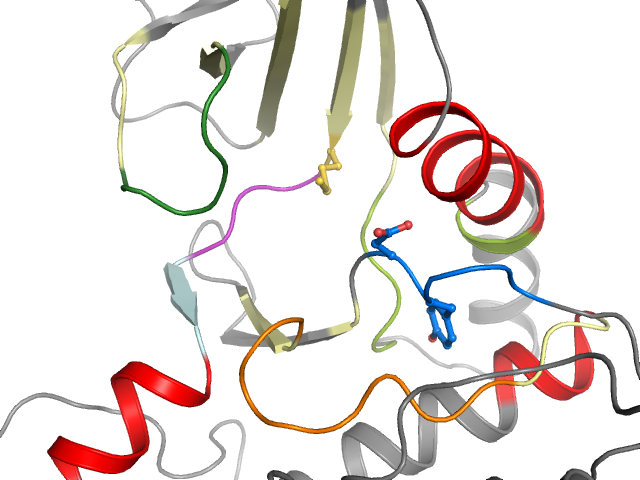 The orthosteric binding pocket