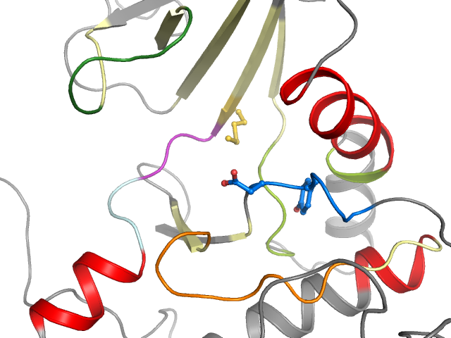 The orthosteric binding pocket