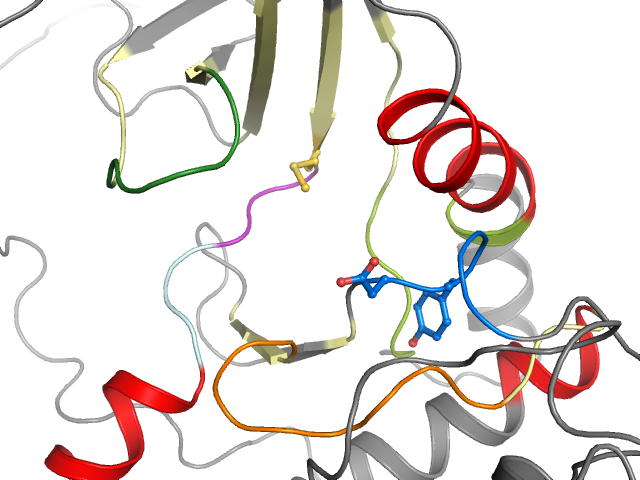 The orthosteric binding pocket