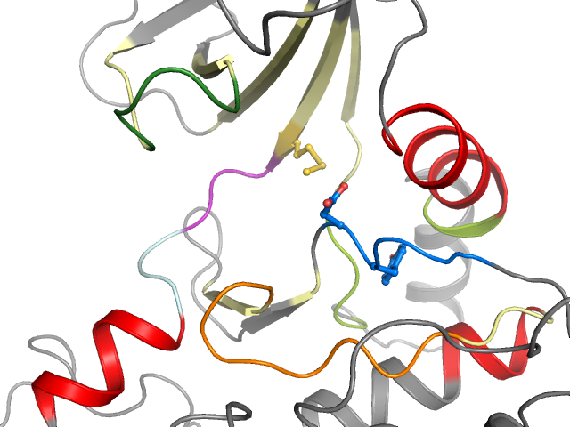 The orthosteric binding pocket