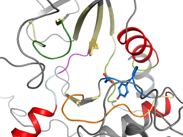 The orthosteric binding pocket