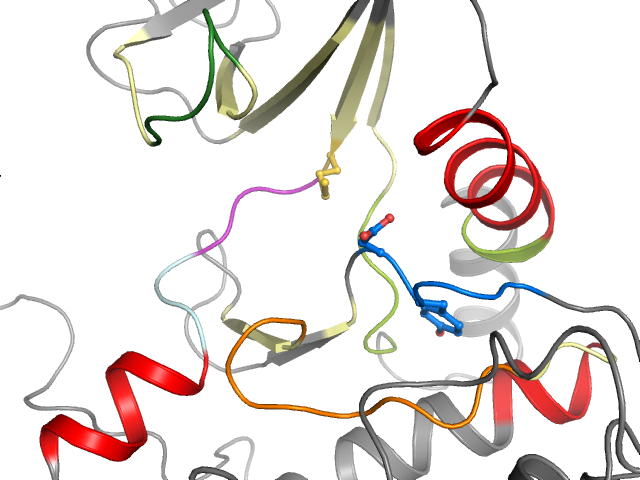 The orthosteric binding pocket