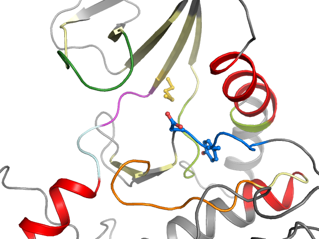 The orthosteric binding pocket