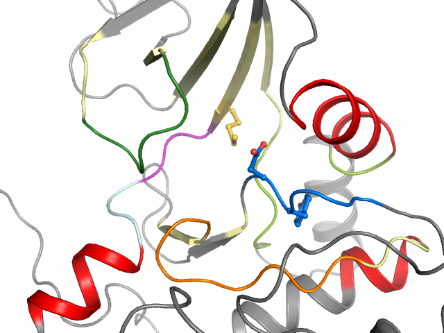 The orthosteric binding pocket