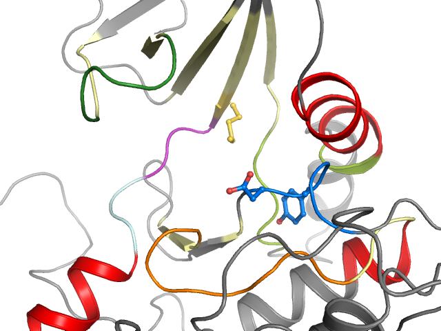 The orthosteric binding pocket