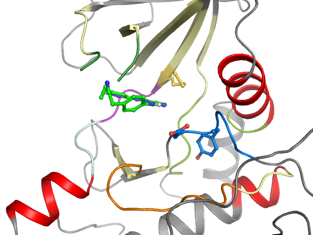 The orthosteric binding pocket
