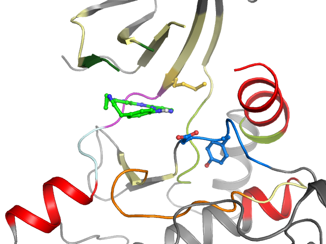 The orthosteric binding pocket
