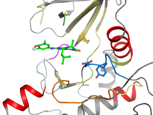 The orthosteric binding pocket
