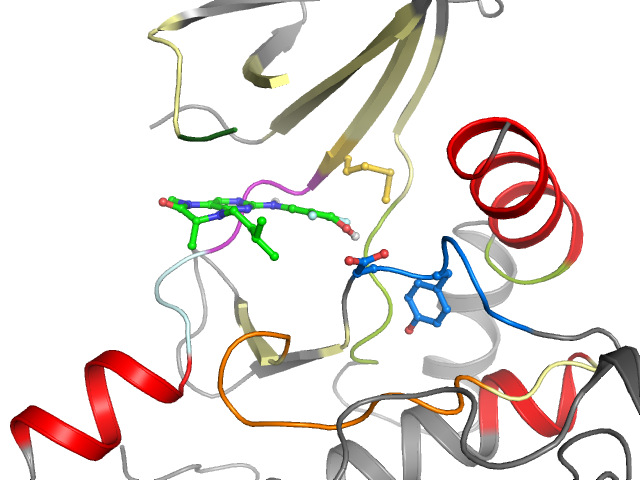 The orthosteric binding pocket
