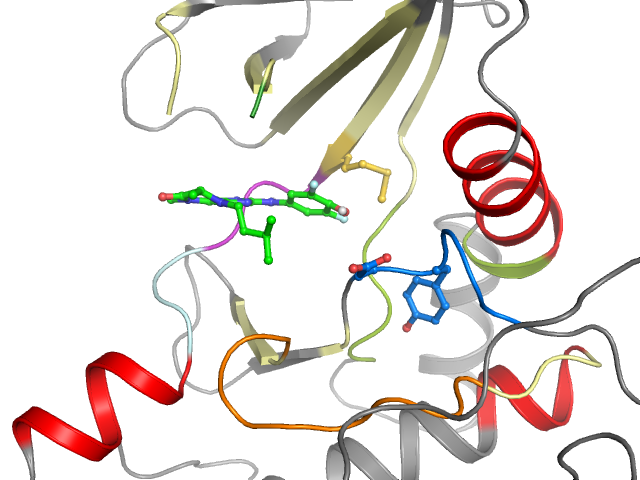 The orthosteric binding pocket