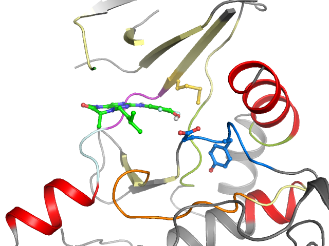 The orthosteric binding pocket