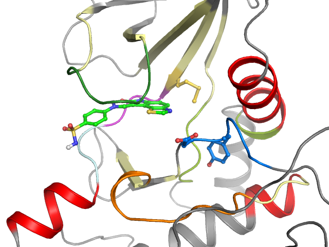 The orthosteric binding pocket