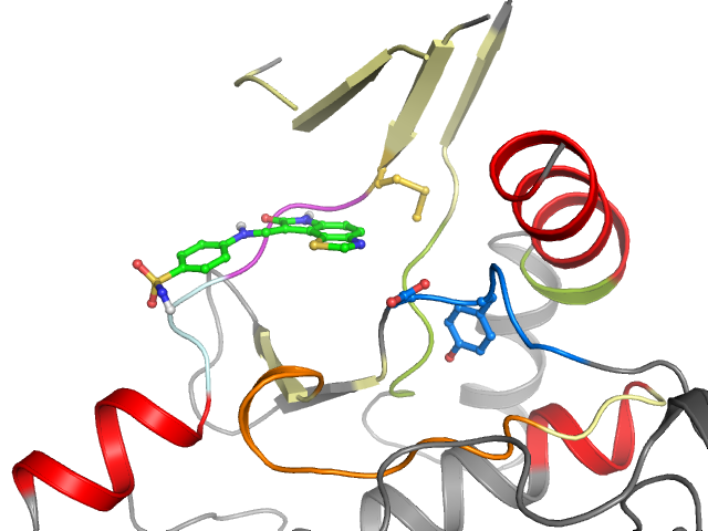 The orthosteric binding pocket