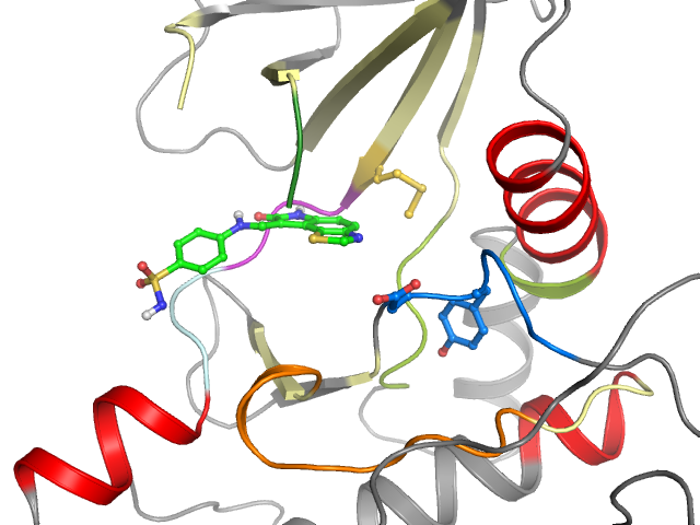The orthosteric binding pocket