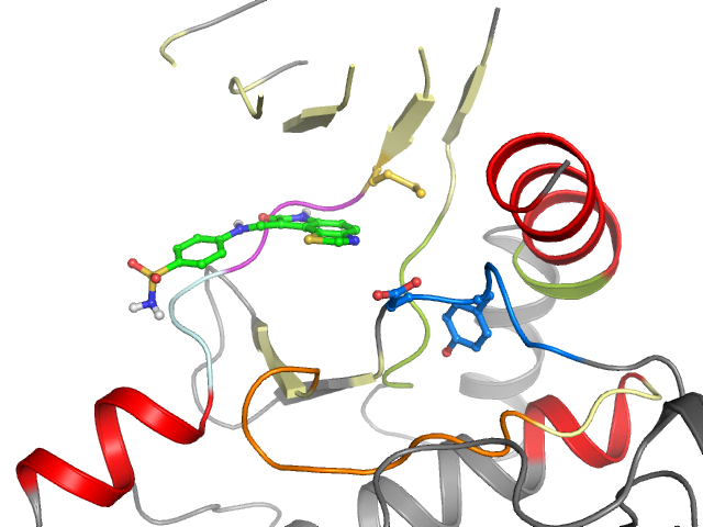 The orthosteric binding pocket