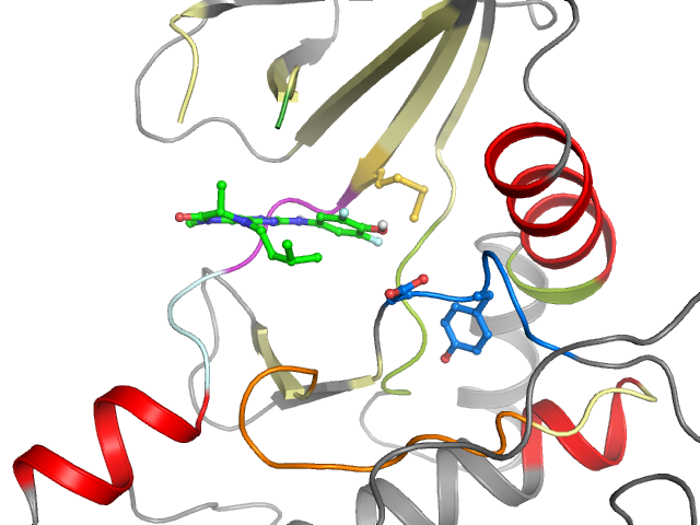The orthosteric binding pocket