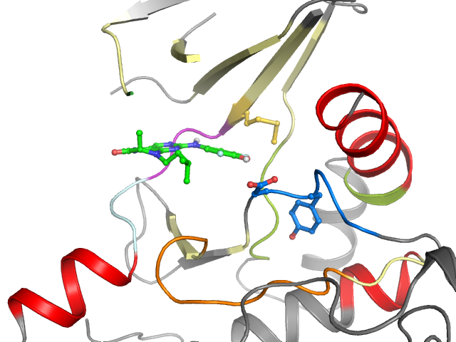 The orthosteric binding pocket