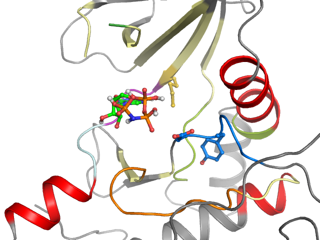 The orthosteric binding pocket