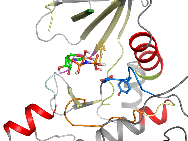 The orthosteric binding pocket
