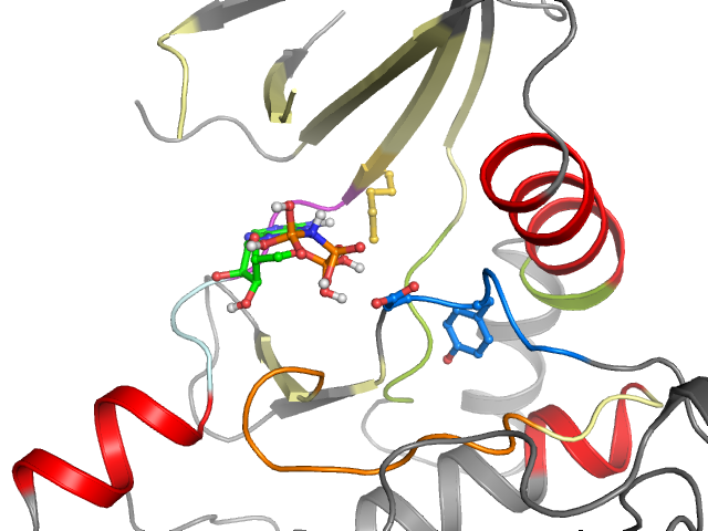 The orthosteric binding pocket