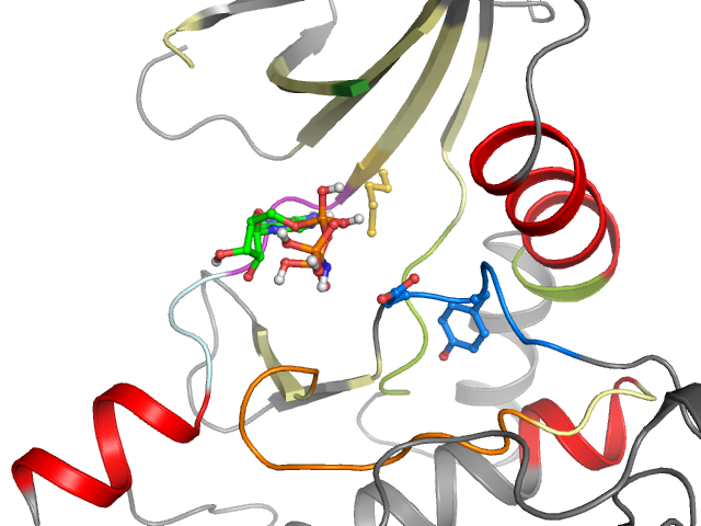 The orthosteric binding pocket