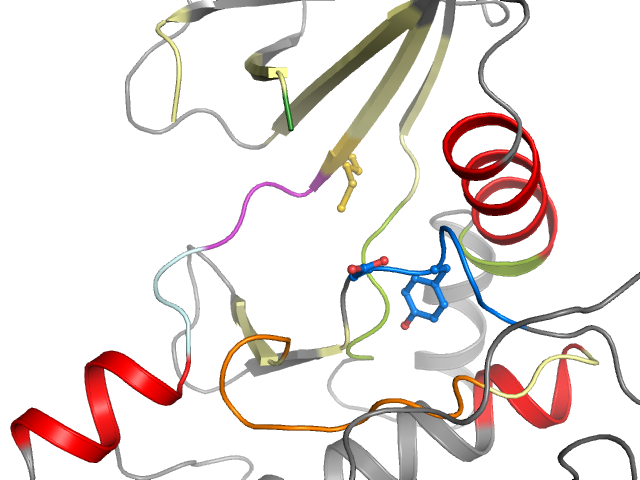 The orthosteric binding pocket