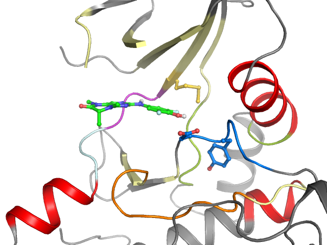 The orthosteric binding pocket