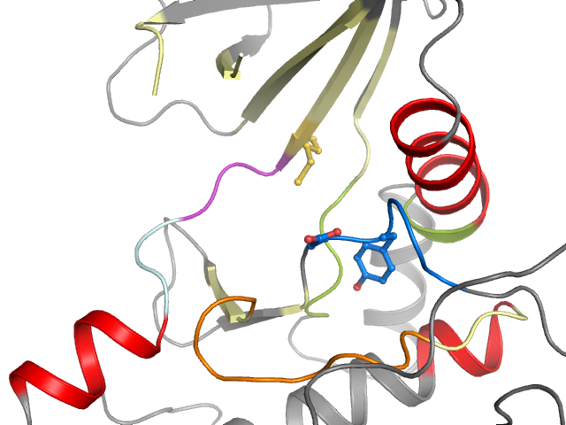 The orthosteric binding pocket