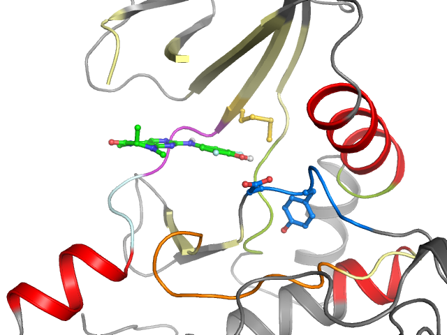 The orthosteric binding pocket