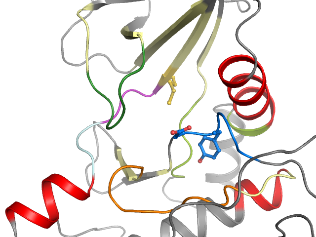 The orthosteric binding pocket