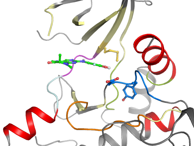 The orthosteric binding pocket