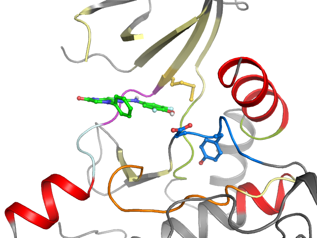 The orthosteric binding pocket