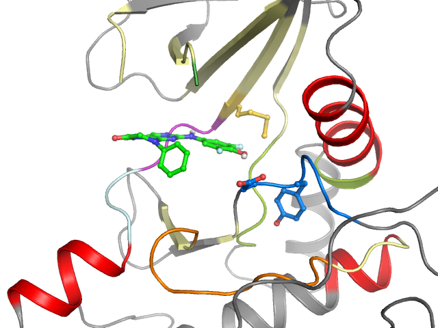The orthosteric binding pocket