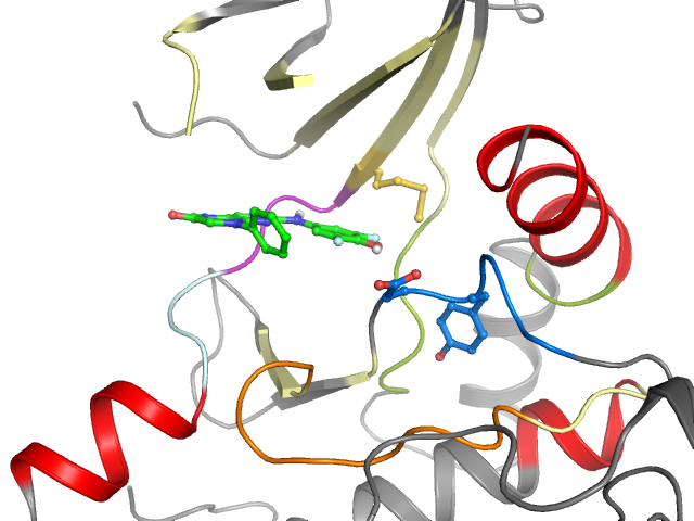 The orthosteric binding pocket
