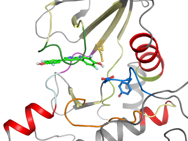 The orthosteric binding pocket