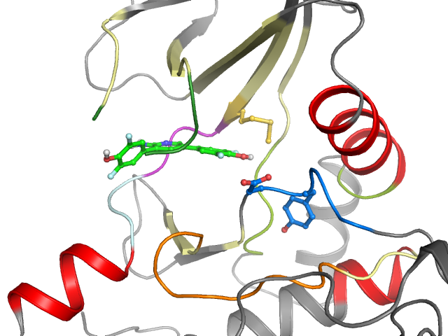 The orthosteric binding pocket