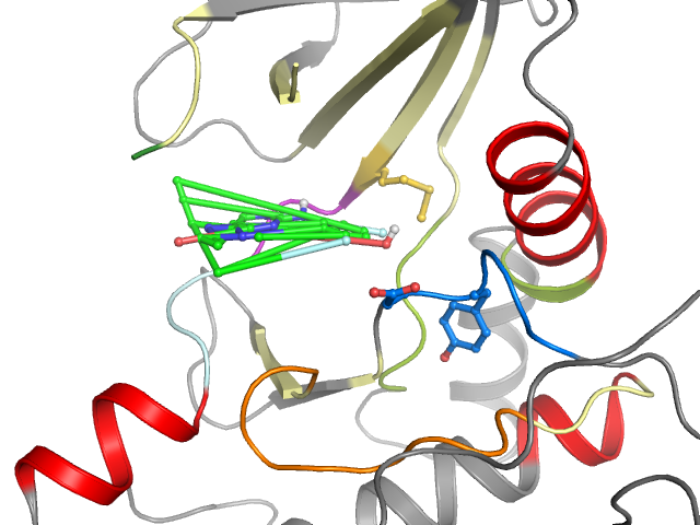 The orthosteric binding pocket