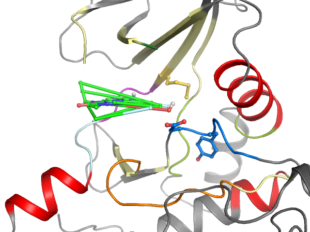The orthosteric binding pocket