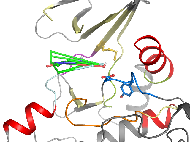 The orthosteric binding pocket