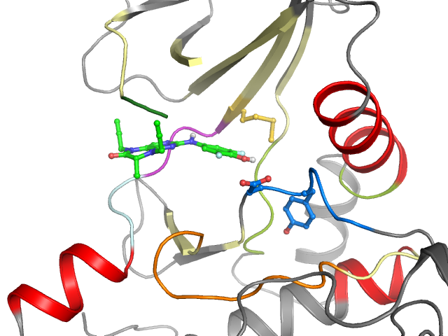 The orthosteric binding pocket