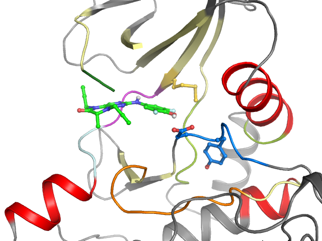 The orthosteric binding pocket