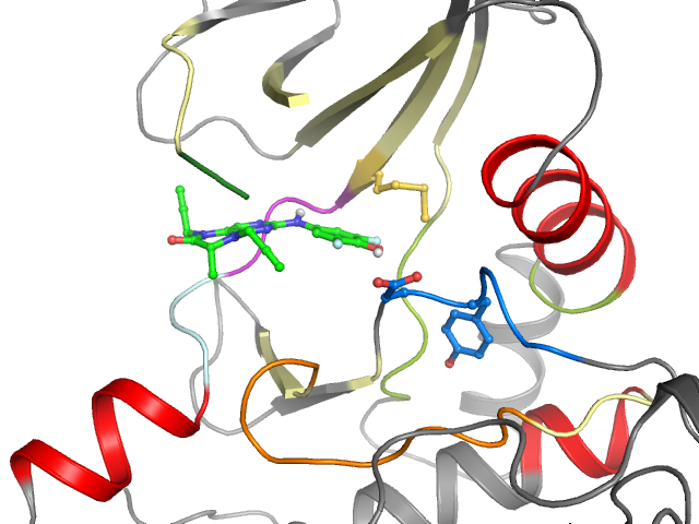 The orthosteric binding pocket
