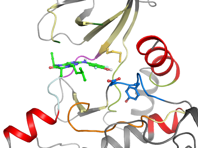 The orthosteric binding pocket